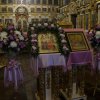 15 февраля 2015 года