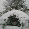 Рождество Христово 2013